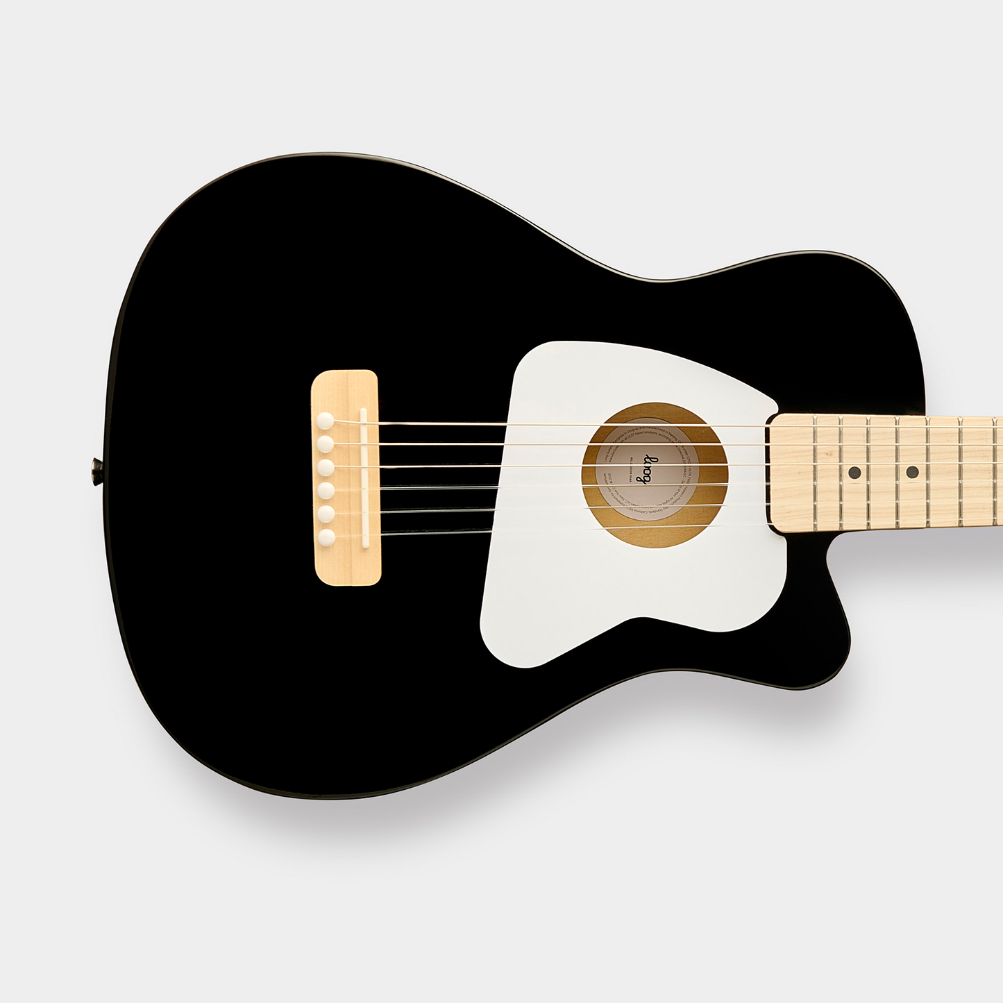 Pro 6 Acústica